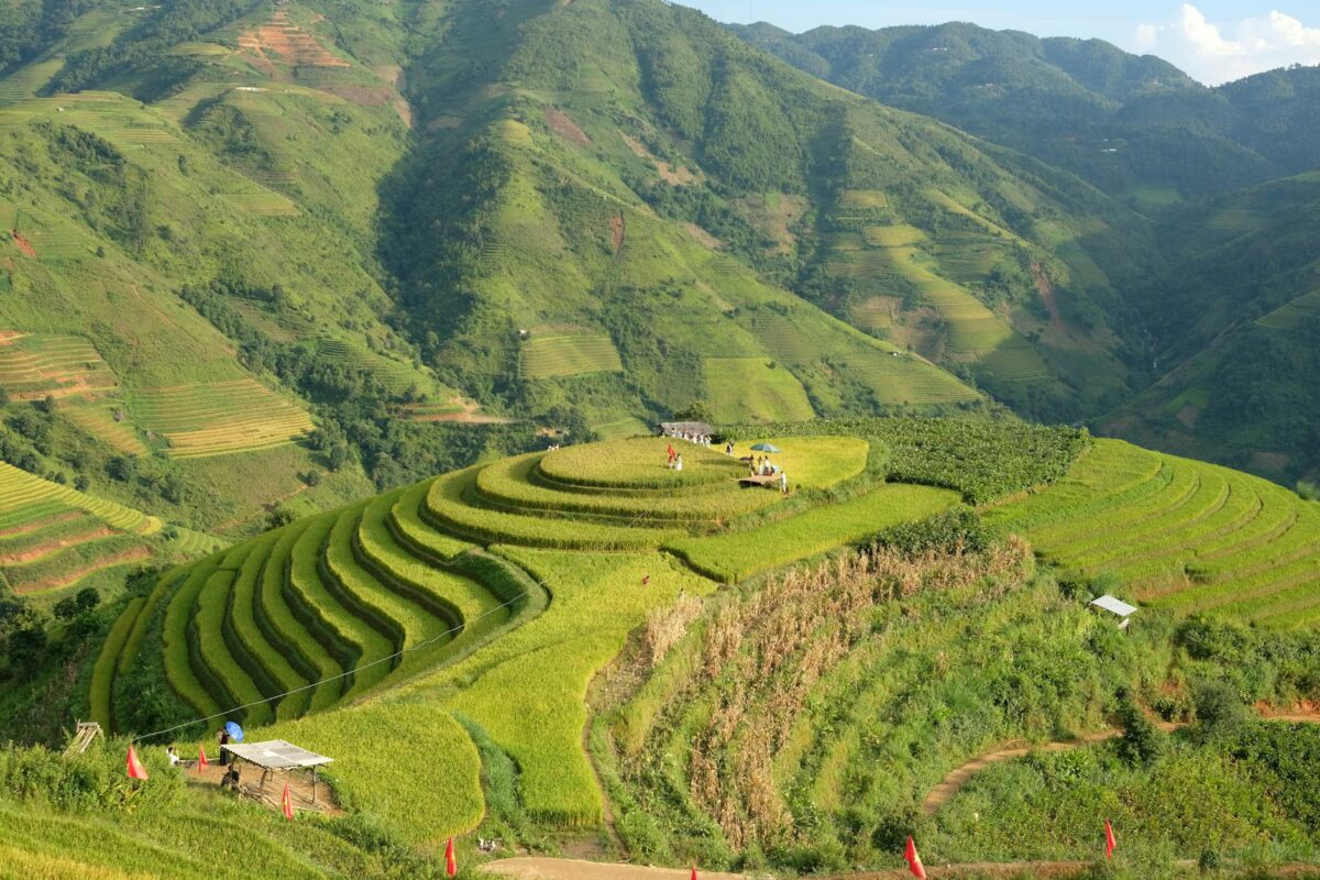 Các Bước Cơ Bản Trong Quy Trình Khảo Sát Địa Hình
