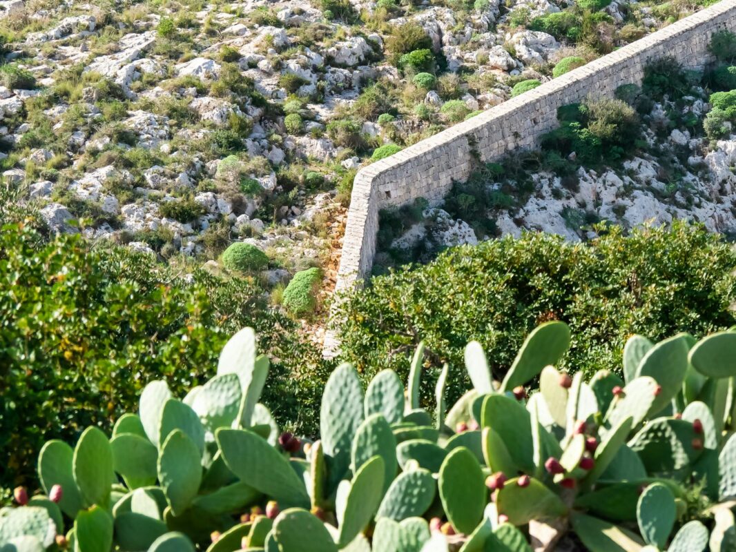 Tại sao kiến trúc xanh lại quan trọng?