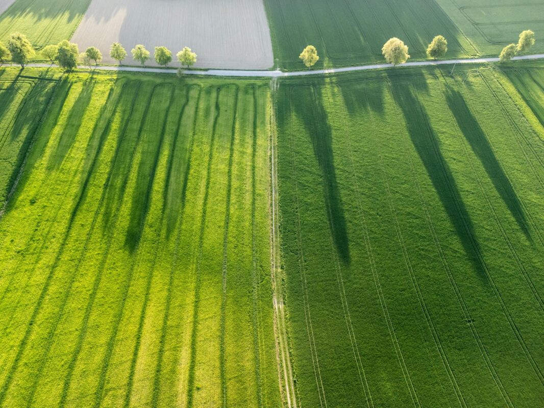 Sốt Đất Ảo: Cơn Sóng Ngầm Đầy Rủi Ro và Cơ Hội